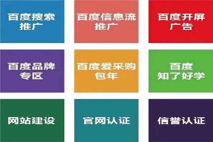 百度推广运营案例精选：揭秘成功之道